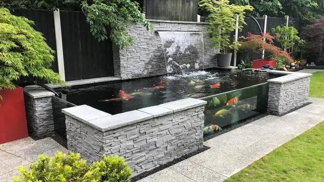 Kolam Ikan dengan Air Menempel Dinding (Foto: Joanne Young via Pinterest)