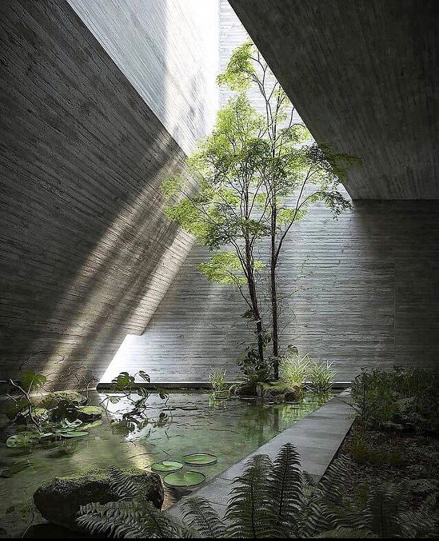 Nature and Brutalism