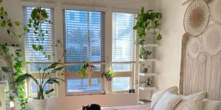 A Comfortable Solution For A Young Family, A Modern And Simple Model Of A 3-bedroom House