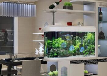 By Placing A Simple Fish Pond Model In Your Kitchen, Your Home Will Look Beautiful And Pretty